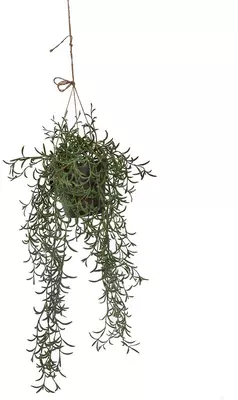 Pure Royal kunst hangplant senecio 55cm groen - afbeelding 1