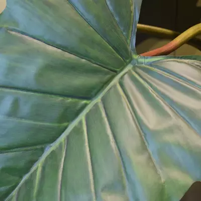 Pure Royal kunstplant alocasia 140cm groen - afbeelding 2