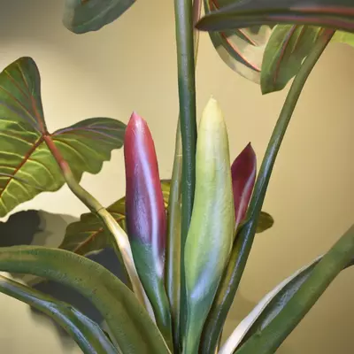 Pure Royal kunstplant alocasia 140cm groen - afbeelding 3