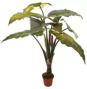 Pure Royal kunstplant alocasia 140cm groen - afbeelding 1