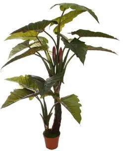 Pure Royal kunstplant alocasia 200cm groen - afbeelding 1