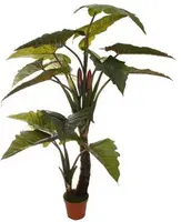 Pure Royal kunstplant alocasia 200cm groen kopen?
