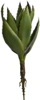 Pure Royal kunstplant aloe vera 40cm groen - afbeelding 1