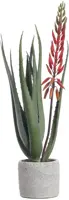 Pure Royal kunstplant aloe vera 50cm rood - afbeelding 1