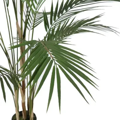 Pure Royal kunstplant arcea 125cm groen - afbeelding 2