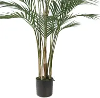 Pure Royal kunstplant arcea 125cm groen - afbeelding 3