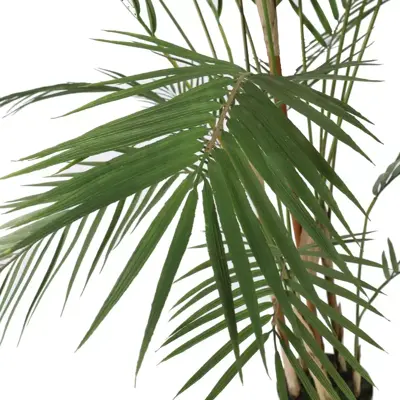 Pure Royal kunstplant areca 150cm groen - afbeelding 2