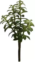 Pure Royal kunstplant blad 33cm groen kopen?