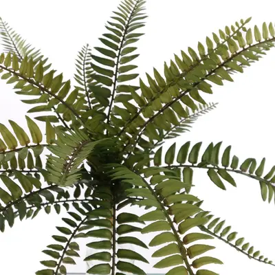 Pure Royal kunstplant boston fern 25cm green - afbeelding 2