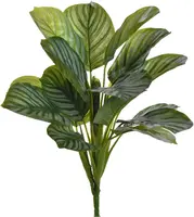 Pure Royal kunstplant calathea 40cm groen - afbeelding 1
