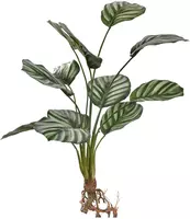 Pure Royal kunstplant calathea 50cm wit, groen - afbeelding 1