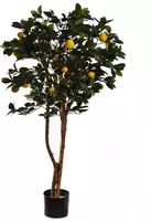 Pure Royal kunstplant citroen 150cm groen, geel kopen?
