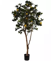 Pure Royal kunstplant citroen 180cm groen, geel - afbeelding 1
