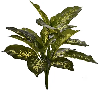 Pure Royal kunstplant diefenbachia 41cm groen - afbeelding 1