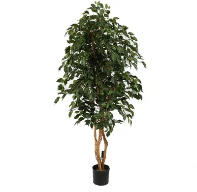 Pure Royal kunstplant ficus exotica 180cm groen - afbeelding 1