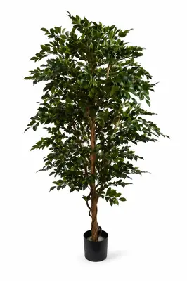Pure Royal kunstplant ficus folia 180cm groen - afbeelding 1