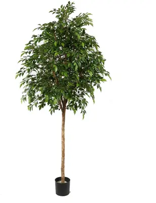 Pure Royal kunstplant ficus natasja 230cm groen - afbeelding 1