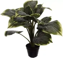 Pure Royal kunstplant hartlelie 53cm groen, crème - afbeelding 1