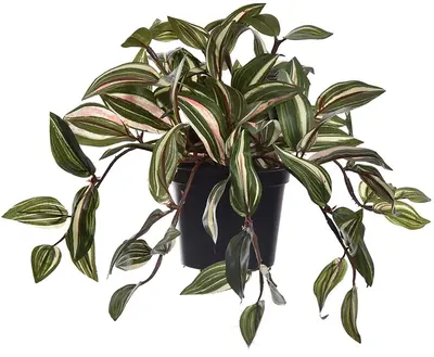 Pure Royal kunstplant ivy 0cm groen - afbeelding 1