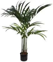 Pure Royal kunstplant kentia palm 120cm groen - afbeelding 1