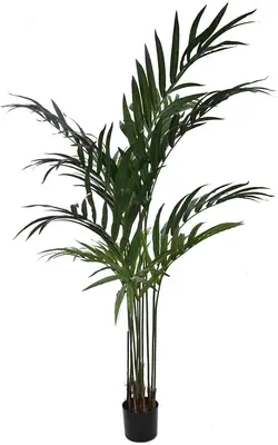 Pure Royal kunstplant kentia palm 180cm groen - afbeelding 1