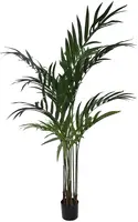 Pure Royal kunstplant kentia palm 180cm groen kopen?