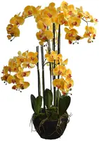 Pure Royal kunstplant orchidee 116cm geel - afbeelding 1