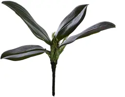 Pure Royal kunstplant orchidee 23cm groen kopen?