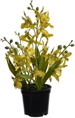 Pure Royal kunstplant orchidee 33cm geel - afbeelding 1