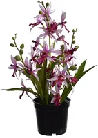 Pure Royal kunstplant orchidee 33cm lavendel - afbeelding 1