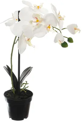Pure Royal kunstplant orchidee 40cm crème - afbeelding 1