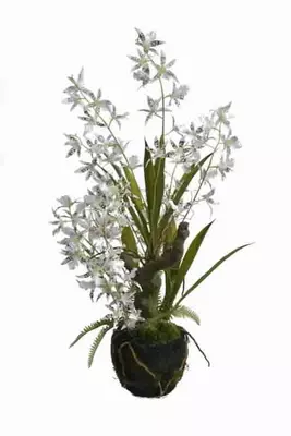 Pure Royal kunstplant orchidee 59cm wit - afbeelding 1