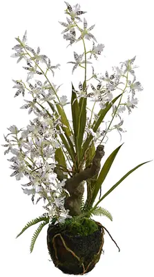 Pure Royal kunstplant orchidee 59cm wit - afbeelding 2
