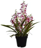 Pure Royal kunstplant orchidee 63cm lavendel - afbeelding 1
