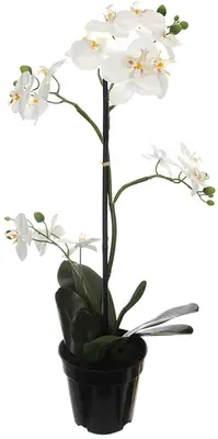 Pure Royal kunstplant orchidee 67cm crème - afbeelding 1