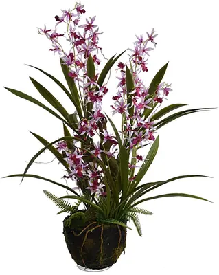 Pure Royal kunstplant orchidee 76cm lavendel - afbeelding 1