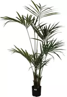 Pure Royal kunstplant palm 180cm groen - afbeelding 1