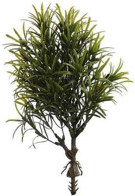 Pure Royal kunstplant podocarpus 28cm groen - afbeelding 1