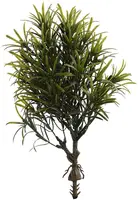 Pure Royal kunstplant podocarpus 28cm groen kopen?