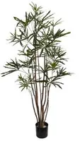 Pure Royal kunstplant schefflera elegantissima 160cm groen - afbeelding 1