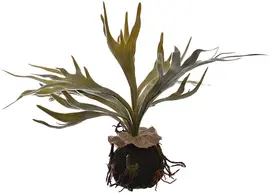 Pure Royal kunstplant staghorn 30cm groen - afbeelding 1