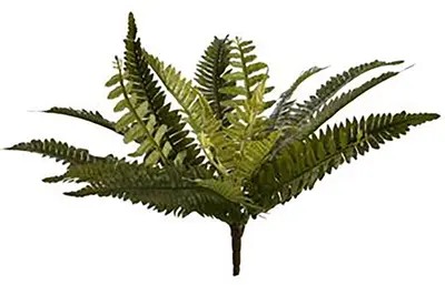 Pure Royal kunstplant varen 43cm groen - afbeelding 1