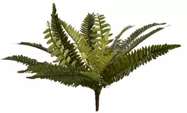 Pure Royal kunstplant varen 43cm groen - afbeelding 1
