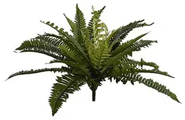 Pure Royal kunstplant varen 45cm groen - afbeelding 1