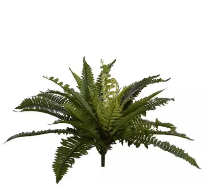 Pure Royal kunstplant varen 45cm groen - afbeelding 1