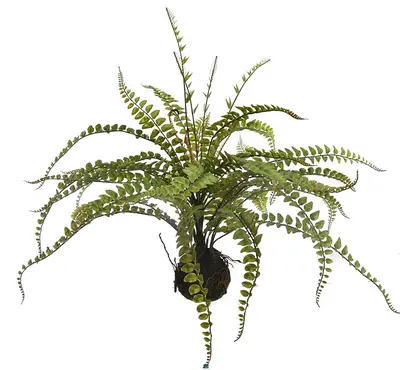 Pure Royal kunstplant varen 56cm groen - afbeelding 1