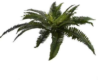 Pure Royal kunstplant varen 59cm groen - afbeelding 1