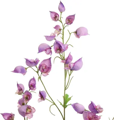 Pure Royal kunsttak aconitum 120cm lavendel - afbeelding 2