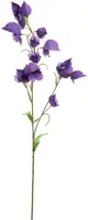 Pure Royal kunsttak aconitum 80cm paars - afbeelding 1