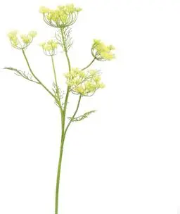 Pure Royal kunsttak anethum 79cm geel - afbeelding 1